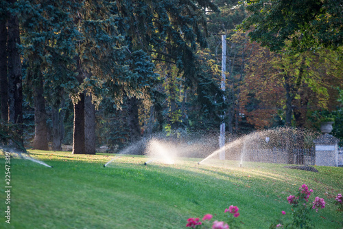Automatic sprinkler watering in the garden