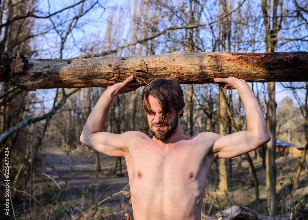 Man brutal strong attractive guy collecting wood in forest. Lumberjack or woodman  sexy naked muscular torso gathering wood. Alone in woods. Man beaded brutal  sexy lumberjack carry big heavy log Stock Photo
