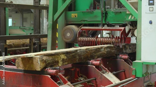 Production process at a wood processing plant. Machine-tool, woodworking machine cuts sawing log, timber, lumber, makes plank. Saw cutting