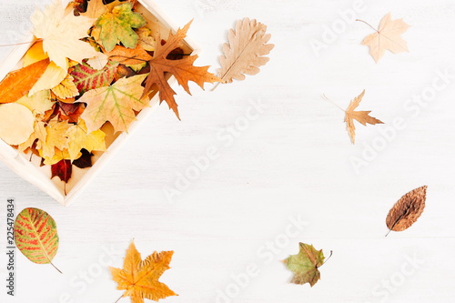 Autumn composition. Beautiful yellow leaves on white background wooden table. Autumn, fall, background. Flat lay, top view, copy space 