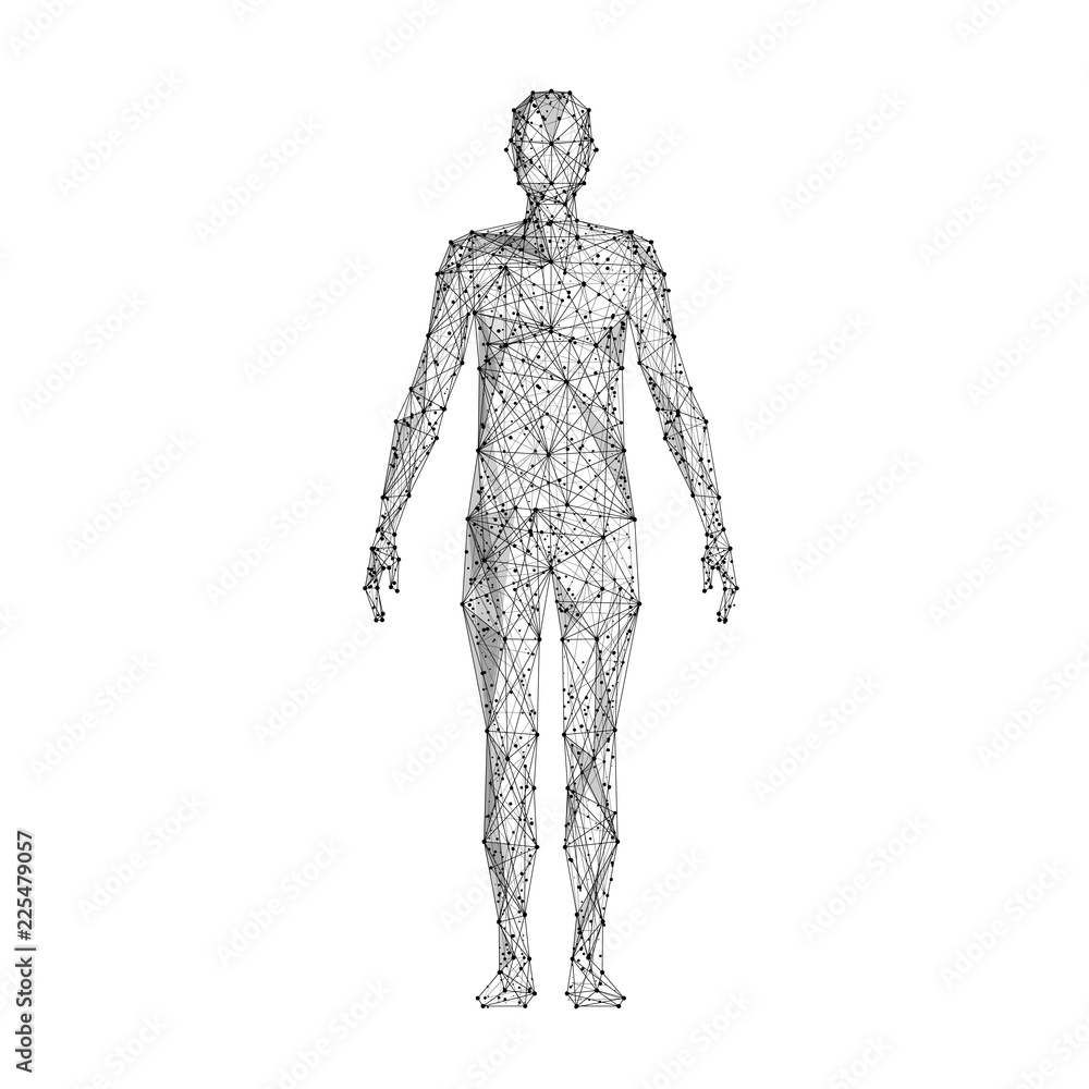 Human body. Isolated black vector illustration in low-poly style on a white background. The drawing consists of thin lines and dots. Polygonal image on topics of science or medicine. Low poly EPS.