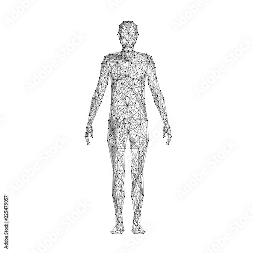 Human body. Isolated black vector illustration in low-poly style on a white background. The drawing consists of thin lines and dots. Polygonal image on topics of science or medicine. Low poly EPS.