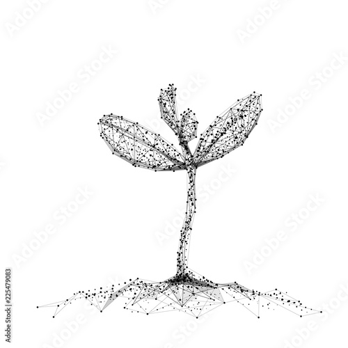 Seedling. Isolated black vector illustration in low-poly style on a white background. The drawing consists of thin lines and dots. Polygonal image on topics of vegetables or food. Low poly