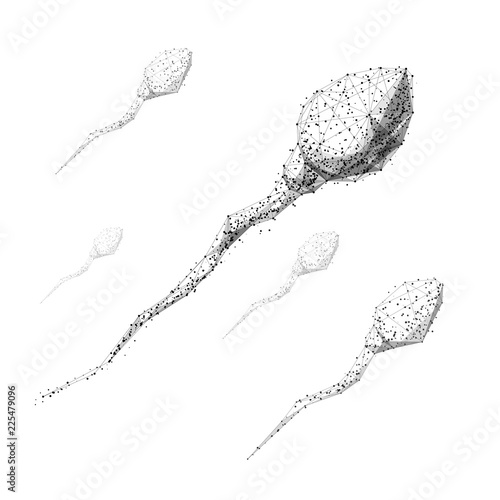 Spermatozoon. Isolated black vector illustration in low-poly style on a white background. The drawing consists of thin lines and dots. Polygonal image on topics of science or health. Low poly EPS.