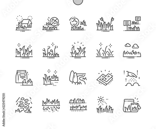 Types Garden grass Well-crafted Pixel Perfect Vector Thin Line Icons 30 2x Grid for Web Graphics and Apps. Simple Minimal Pictogram