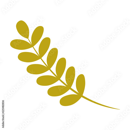 Ash tree leaf icon. Flat illustration of ash tree leaf vector icon for web design