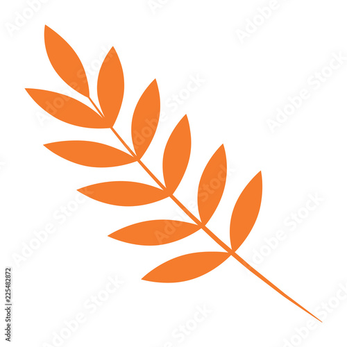 Rowan autumn leaf icon. Flat illustration of rowan autumn leaf vector icon for web design