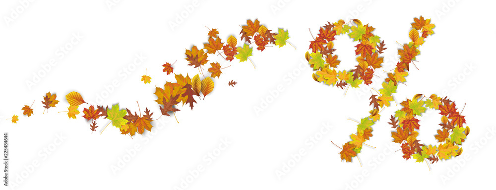 Autumn Foliage Wave Percent Header Autumn Foliage Wave Percent Header