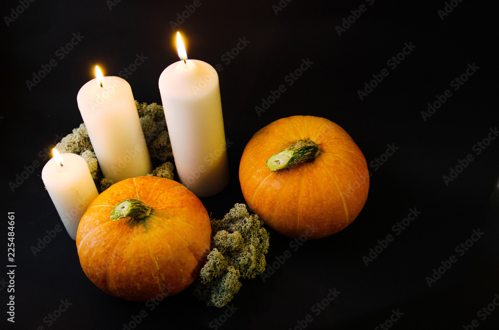 Pumpkins and mushrooms on a black background Pumpkins and mushrooms on a black background