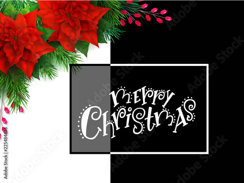 Vector illustration of greeting banner template with hand lettering label - merry Christmas - with poinsettia flowers, realistic fir-tree branches, and decorative bead branch
