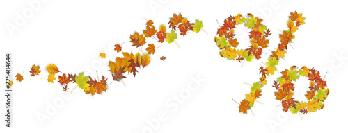 Autumn Foliage Wave Percent Header