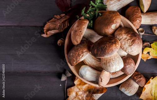 Mushroom over Wooden Background. Autumn Cep Mushrooms on wood. Autumn forest fruit
