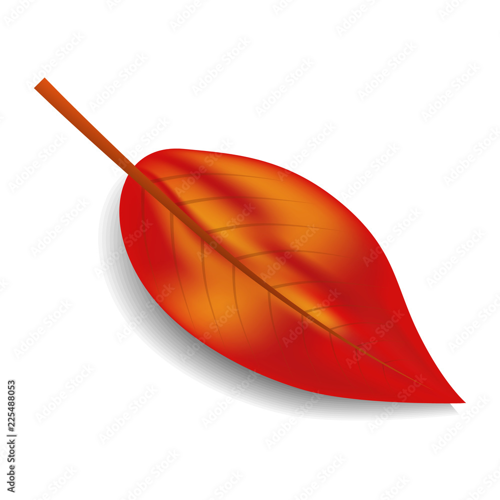 Red autumn leaf icon. Realistic illustration of red autumn leaf vector icon for web design isolated on white background Red autumn leaf icon. Realistic illustration of red autumn leaf vector icon for web design isolated on white background