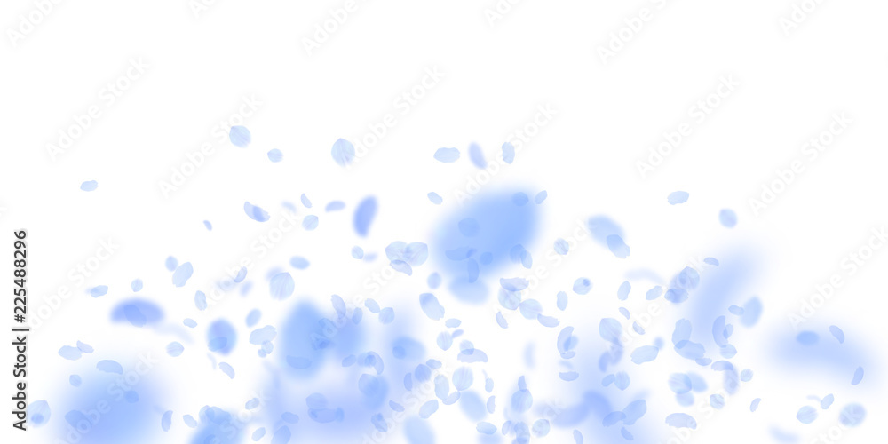 Dark blue flower petals falling down. Artistic romantic flowers explosion. Flying petal on white wid