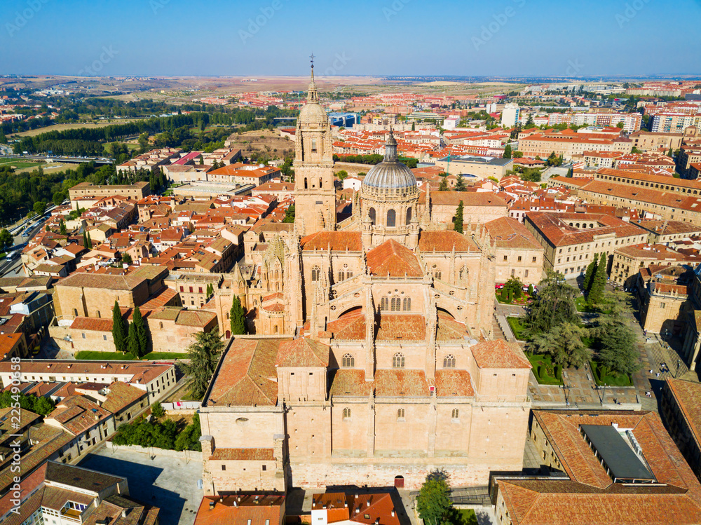 Fototapeta premium Salamanca Cathedral in Salamanca, Spain