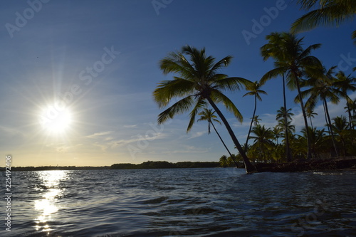 island of boipeba, cairu, bahia, brazil, a paradise on earth