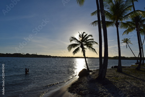 island of boipeba, cairu, bahia, brazil, a paradise on earth