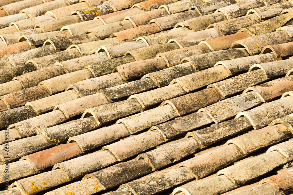 typical roof tiles of a house in an Italian town