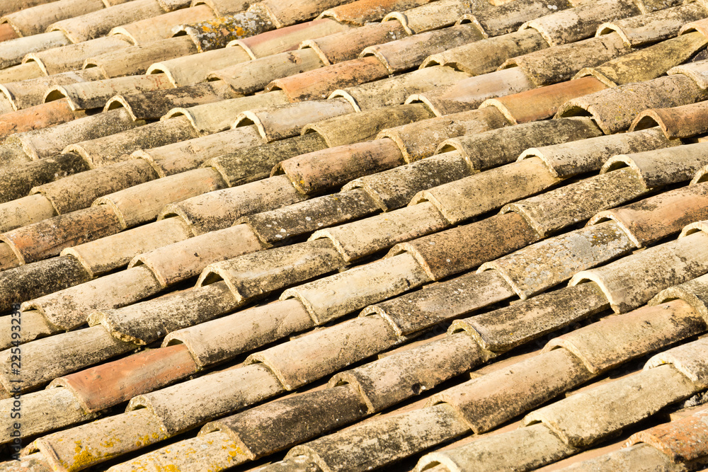 typical roof tiles of a house in an Italian town typical roof tiles of a house in an Italian town