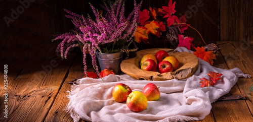 Malus sylvestris, the tasty  European crab apple, photo