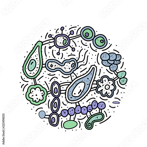 Bacteria cells set composition. Vector illustration.