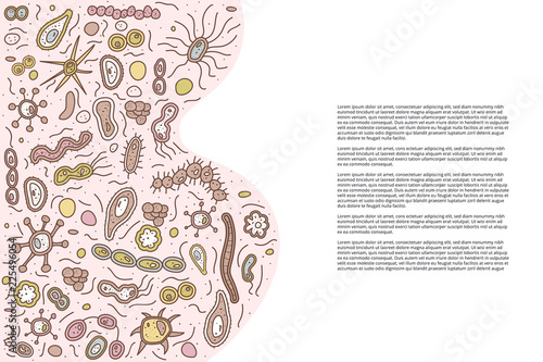 Bacteria cells set composition. Vector illustration.