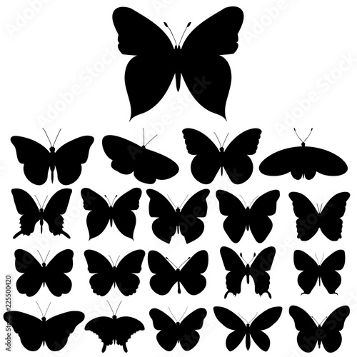 black butterfly silhouette, set