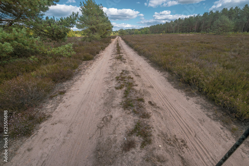 Kyritz-Ruppiner Heide  Landschaft am Tage  Wanderweg