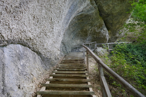Wanderweg durch Felsen Park Inzigkofen