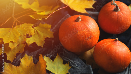 Background for thanksgiving. Beautiful orange pumpkins in autumn foliage on dark wooden background. Copy space