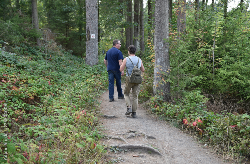 Obraz premium Wanderer im Harz