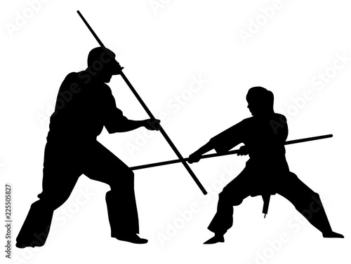 silhouette combative sports