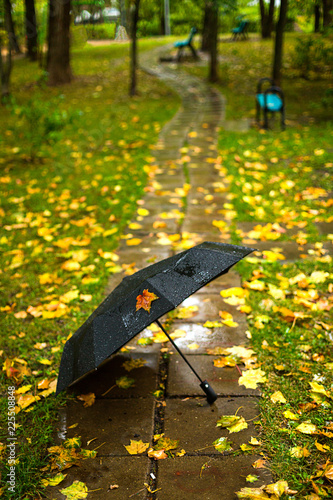 Autumn season, rainy weather, black umbrella