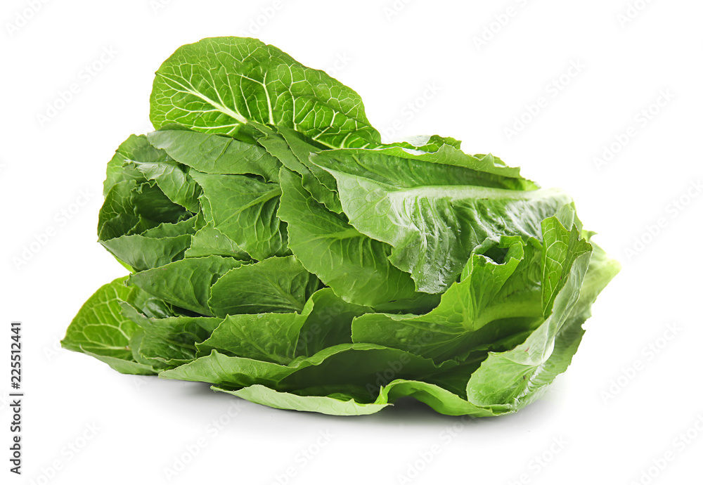 Fresh ripe cabbage on white background Fresh ripe cabbage on white background