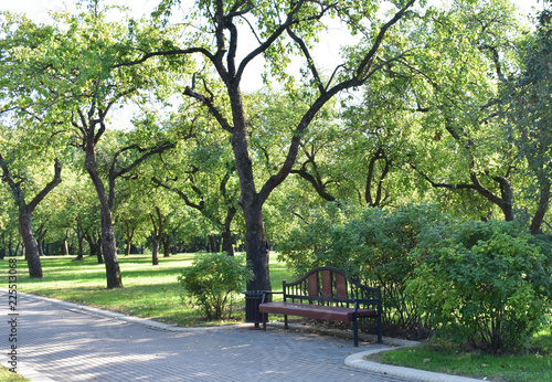 Place to rest in the park.