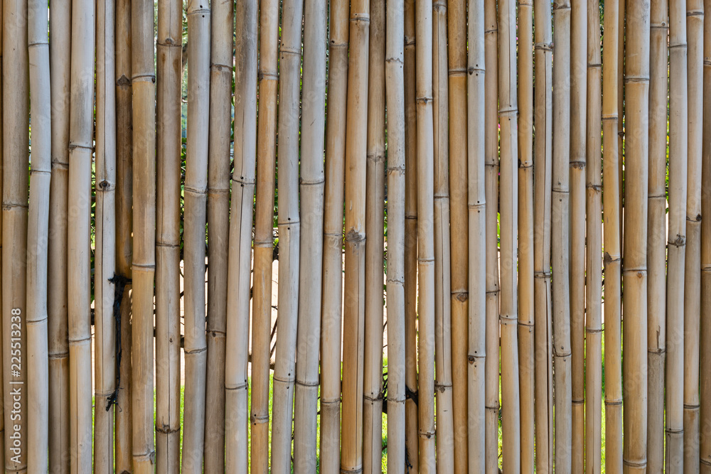 Fototapeta premium background with bamboo