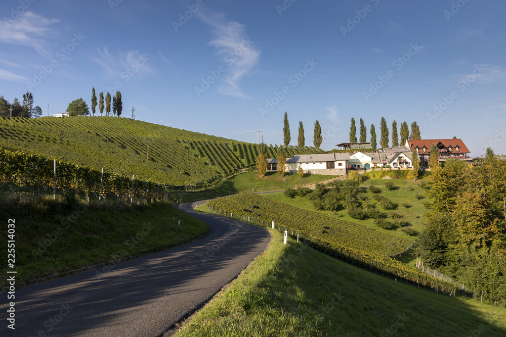 scenery vineyard along the south Styrian vine route named suedsteirische weinstrasse in Austria in autumn, Europe
