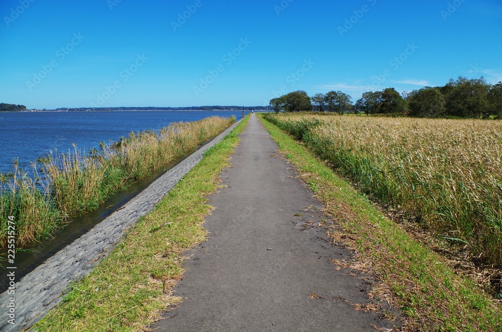 涸沼沿いの道路