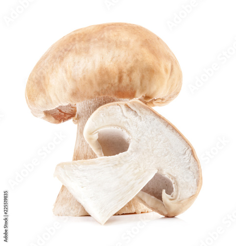 Forest mushrooms. Boletus edulis mushrooms isolated on white background