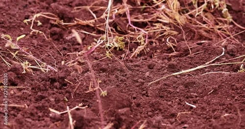 Metal detector search for non-ferrous metal jewelry in the territory of the former Soviet Union.