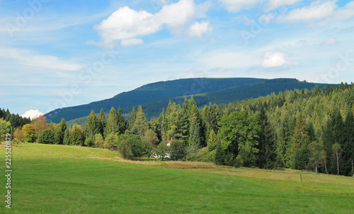 landscape of Beskydy mountains with hills covered with spruce forests and a meadow at the foreground in summer