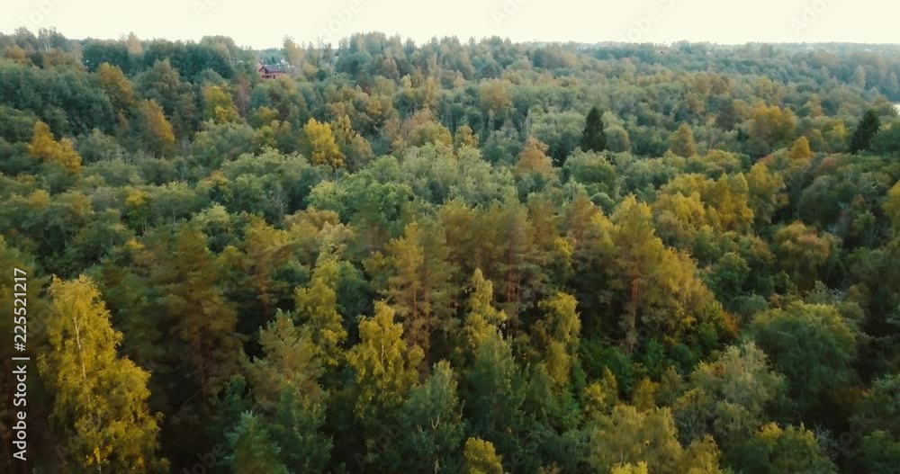 Aerial drone horizontal view of forest and coniferous trees in the north. Russian landscape with pines and fir, sunny day in wild nature. Concept for traveling tourists. Aerial drone horizontal view of forest and coniferous trees in the north. Russian landscape with pines and fir, sunny day in wild nature. Concept for traveling tourists.