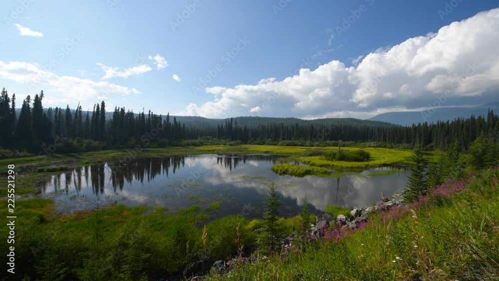 Large pond with ducks in a forest on a smokey, partly cloud day Large pond with ducks in a forest on a smokey, partly cloud day