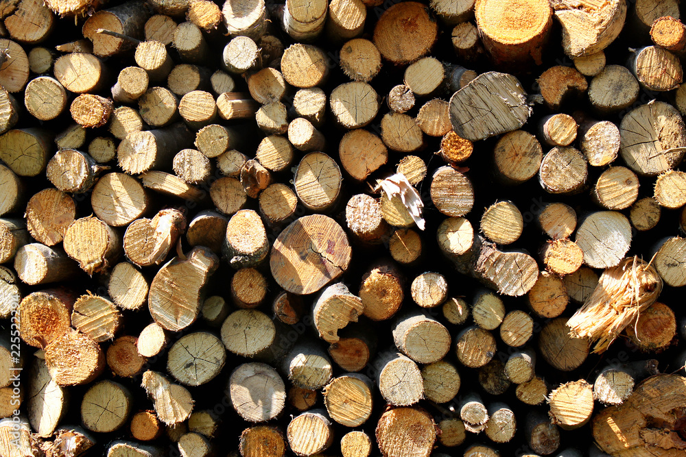 Fototapeta premium Stacked firewood as background