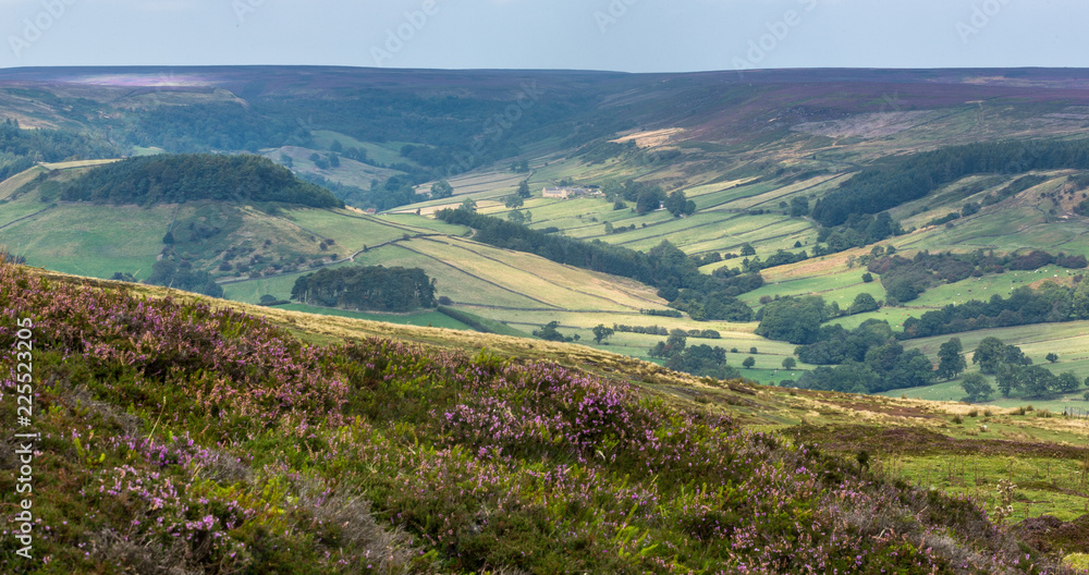 Yorkshire Moors Scenery