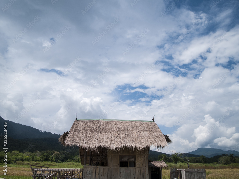 landscape  photography : Landscapes of rice fields Asia and lifestyle farmers