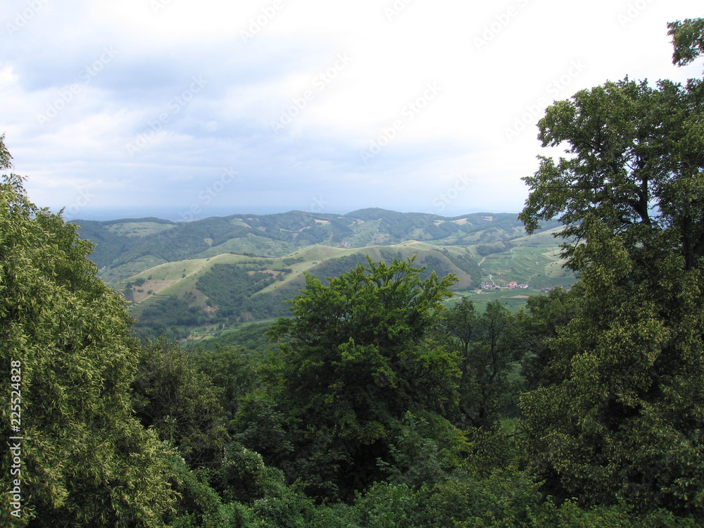 Wald mit Hügellandschaft am Kaiserstuhl