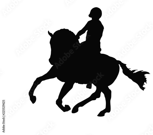 A silhouette of the rider on a horse. Equestrian, horsemanship.