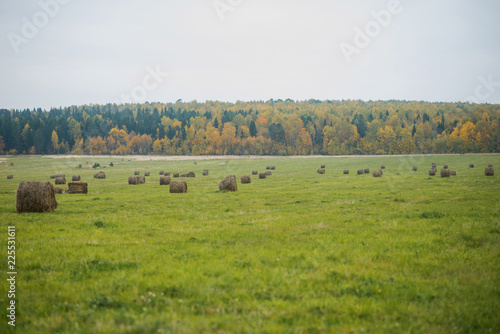 Autumn background: haystack in the field