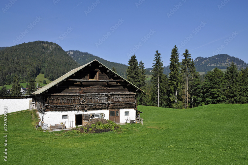 bauernhof im kleinwalsertal